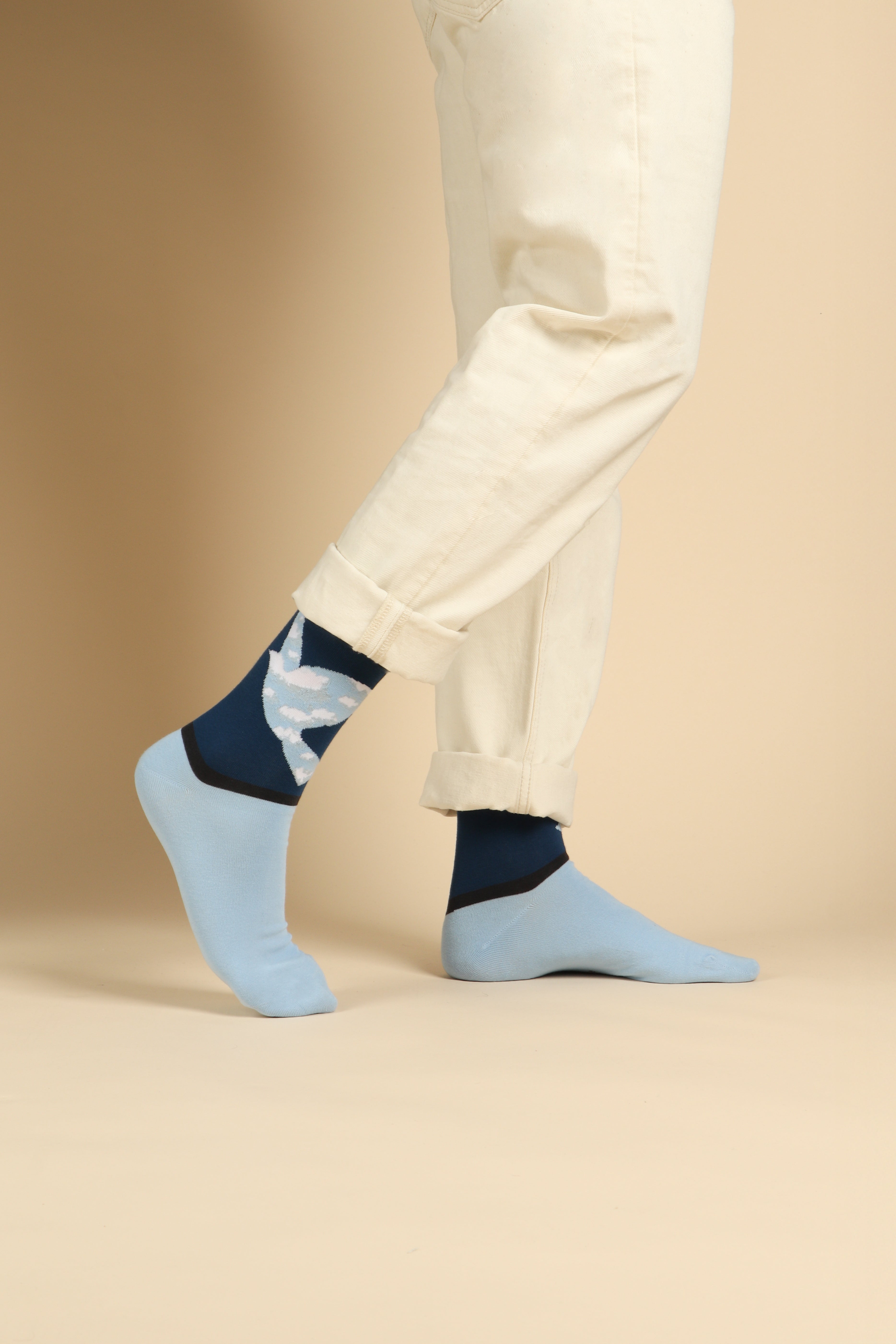 Y2 Birds herensokken